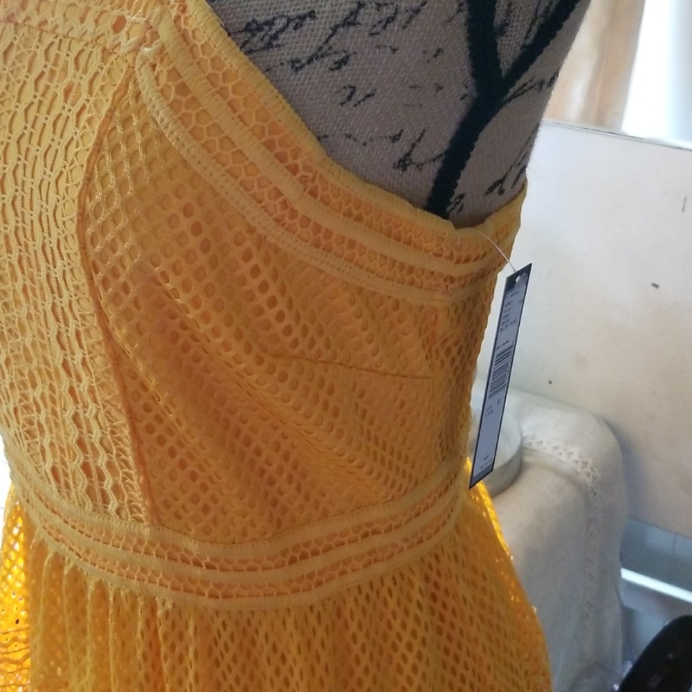 Tahari - Picture 2 of 7